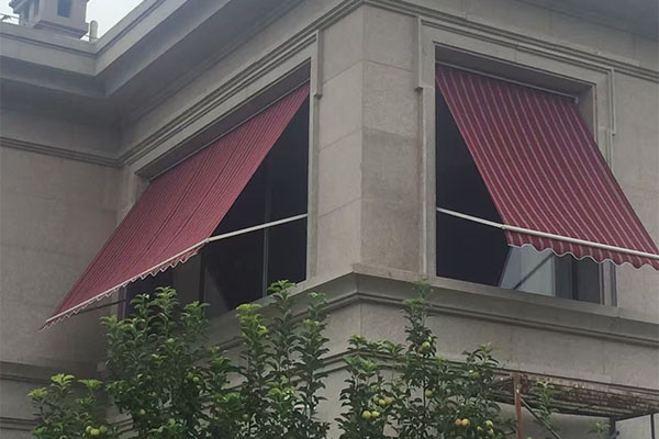 Window Awning Case