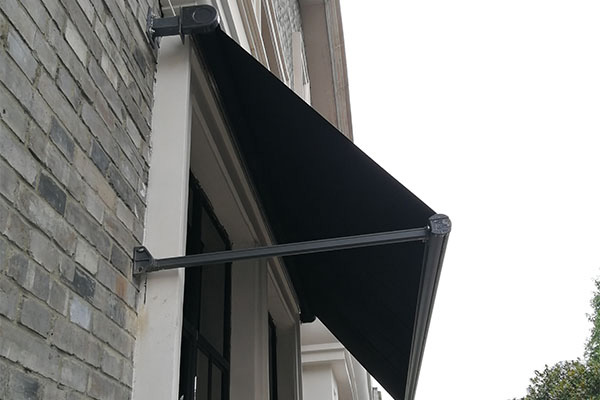 Window Awning Case