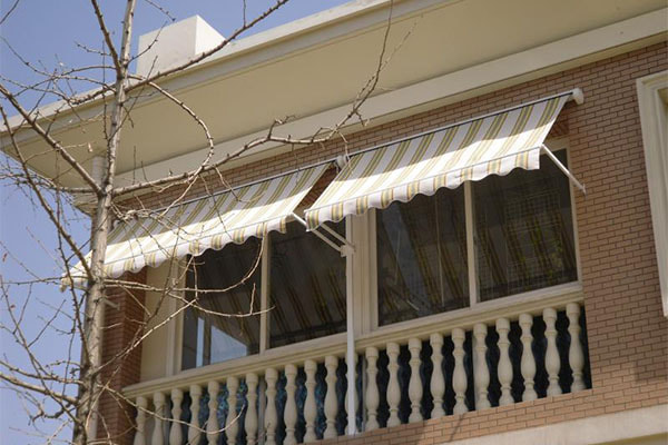 Window Awning Case